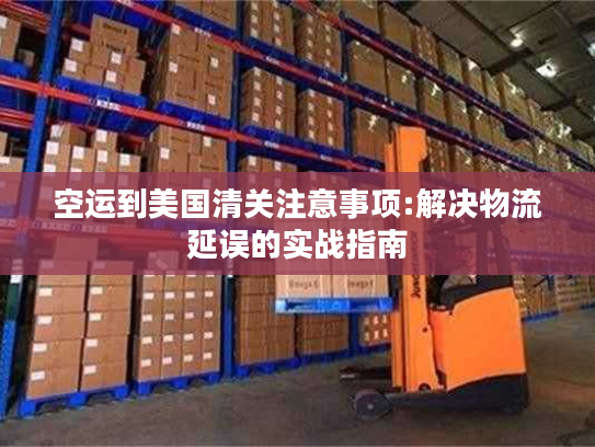 空运到美国清关注意事项:解决物流延误的实战指南