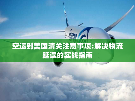 空运到美国清关注意事项:解决物流延误的实战指南