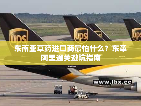 东南亚草药进口商最怕什么？东革阿里通关避坑指南