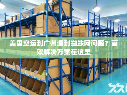 美国空运到广州遇到蜘蛛网问题？高效解决方案在这里