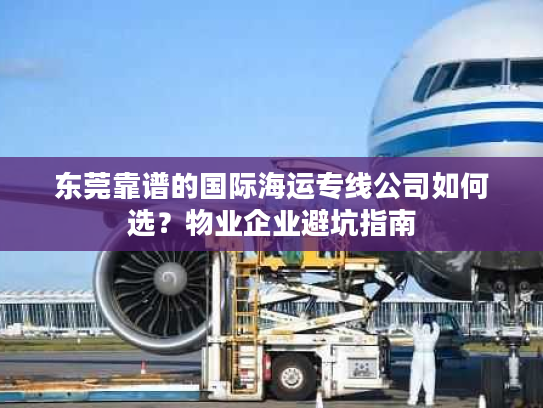 东莞靠谱的国际海运专线公司如何选？物业企业避坑指南