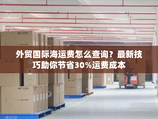 外贸国际海运费怎么查询？最新技巧助你节省30%运费成本