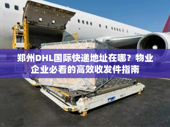 郑州DHL国际快递地址在哪?物业企业必看的高效收发件指南 郑州DHL国际快递地址在哪?物业企业必看的高效收发件指南