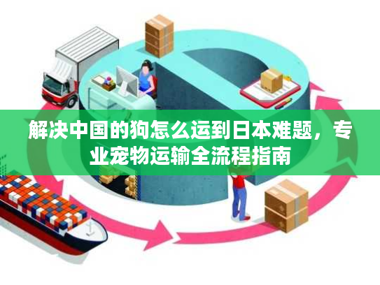 解决中国的狗怎么运到日本难题,专业宠物运输全流程指南 解决中国的狗怎么运到日本难题,专业宠物运输全流程指南