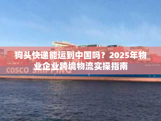 狗头快递能运到中国吗？2025年物业企业跨境物流实操指南