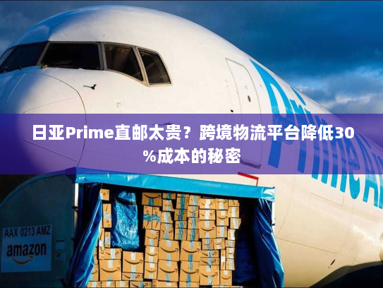日亚Prime直邮太贵？跨境物流平台降低30%成本的秘密