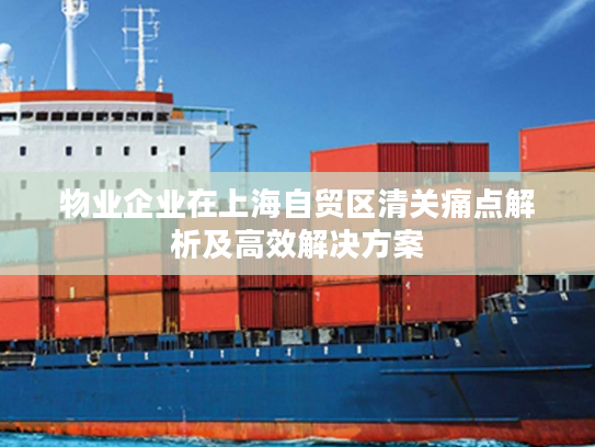 物业企业在上海自贸区清关痛点解析及高效解决方案