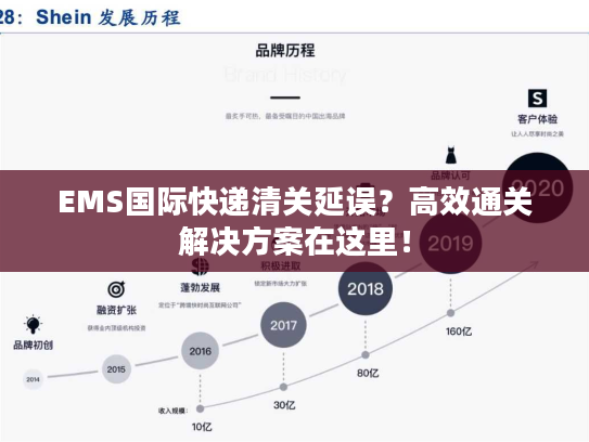 EMS国际快递清关延误？高效通关解决方案在这里！