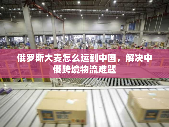 俄罗斯大麦怎么运到中国，解决中俄跨境物流难题