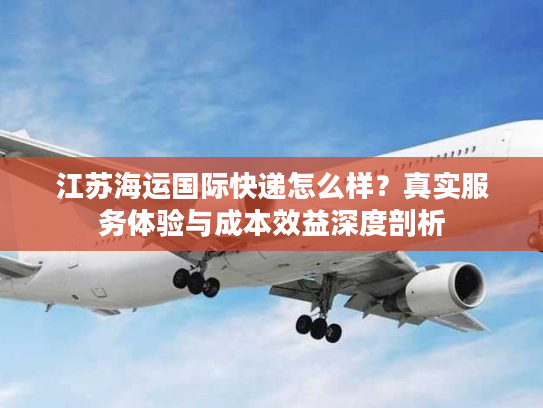 江苏海运国际快递怎么样？真实服务体验与成本效益深度剖析