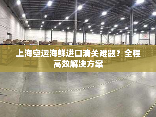 上海空运海鲜进口清关难题？全程高效解决方案