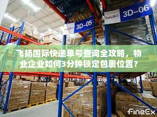 飞扬国际快递单号查询全攻略，物业企业如何3分钟锁定包裹位置？