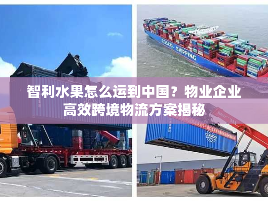 智利水果怎么运到中国？物业企业高效跨境物流方案揭秘