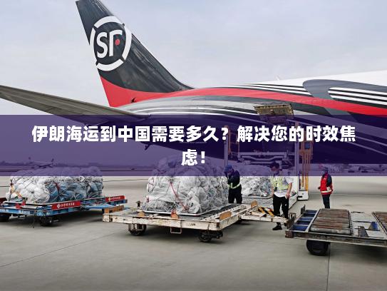 伊朗海运到中国需要多久？解决您的时效焦虑！