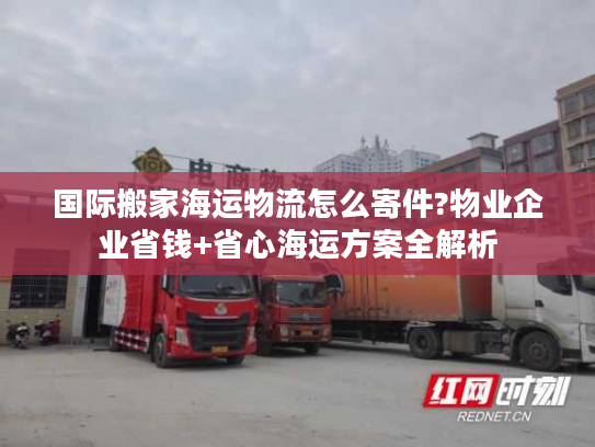 国际搬家海运物流怎么寄件?物业企业省钱+省心海运方案全解析