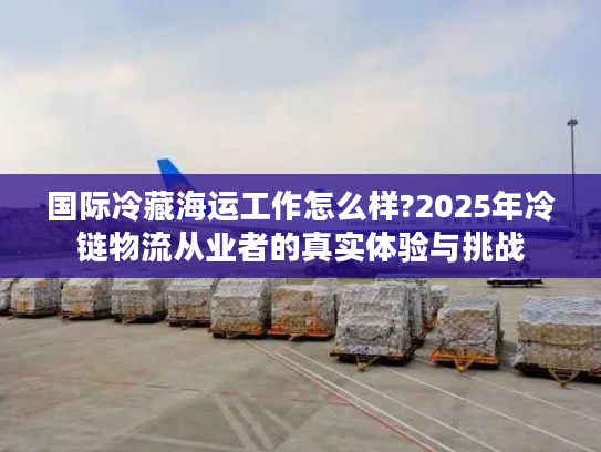 国际冷藏海运工作怎么样?2025年冷链物流从业者的真实体验与挑战