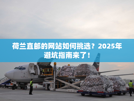荷兰直邮的网站如何挑选？2025年避坑指南来了！