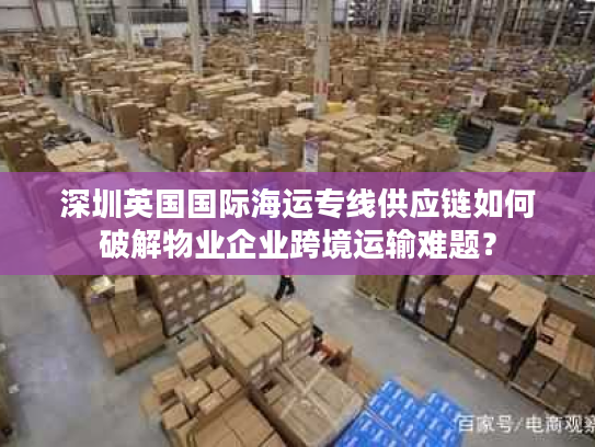 深圳英国国际海运专线供应链如何破解物业企业跨境运输难题？