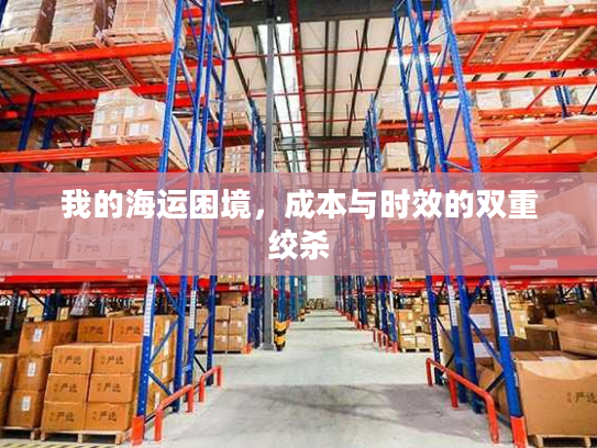 我的海运困境，成本与时效的双重绞杀