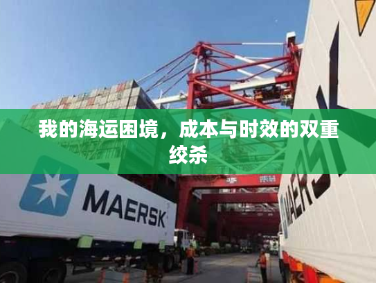 我的海运困境，成本与时效的双重绞杀