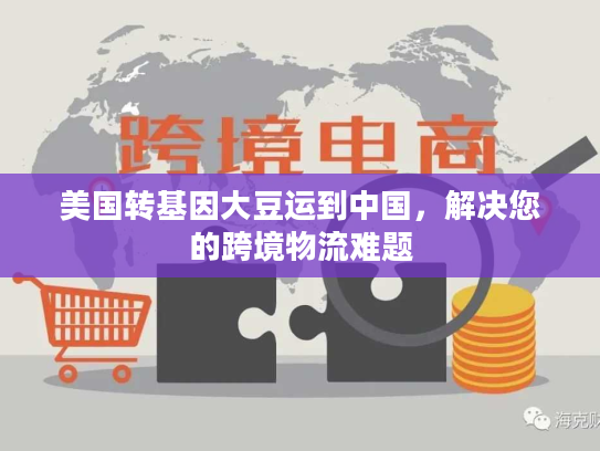 美国转基因大豆运到中国，解决您的跨境物流难题