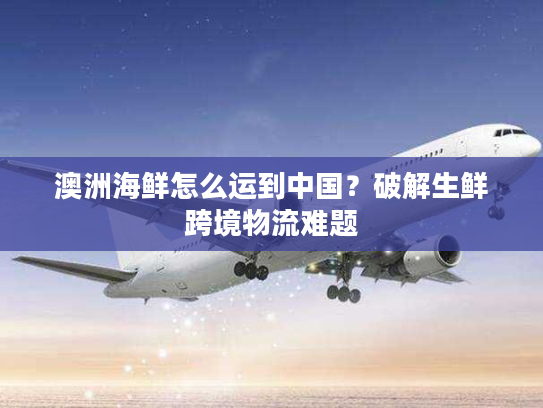 澳洲海鲜怎么运到中国？破解生鲜跨境物流难题