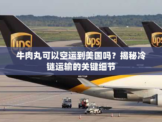 牛肉丸可以空运到美国吗？揭秘冷链运输的关键细节