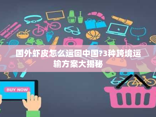 国外虾皮怎么运回中国?3种跨境运输方案大揭秘