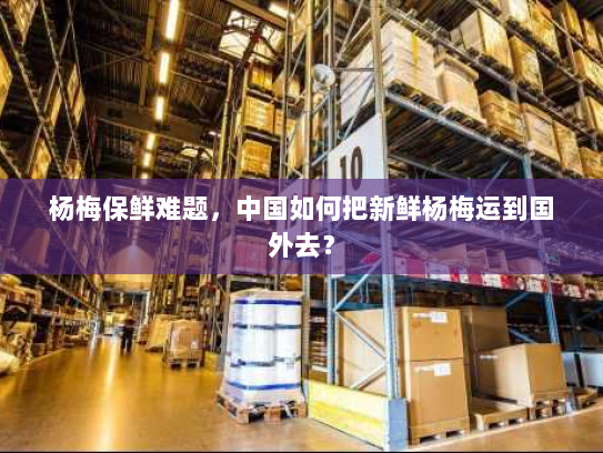 杨梅保鲜难题，中国如何把新鲜杨梅运到国外去？