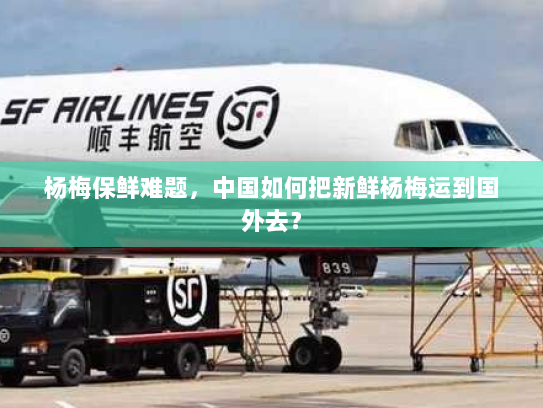 杨梅保鲜难题，中国如何把新鲜杨梅运到国外去？