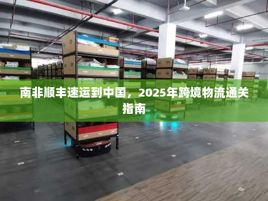 南非顺丰速运到中国，2025年跨境物流通关指南