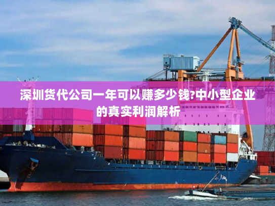 深圳货代公司一年可以赚多少钱?中小型企业的真实利润解析