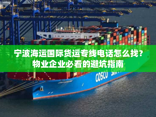 宁波海运国际货运专线电话怎么找？物业企业必看的避坑指南