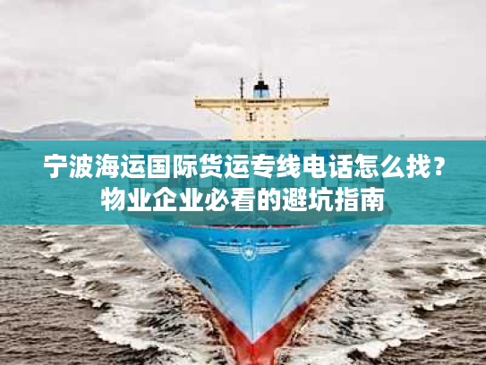 宁波海运国际货运专线电话怎么找？物业企业必看的避坑指南