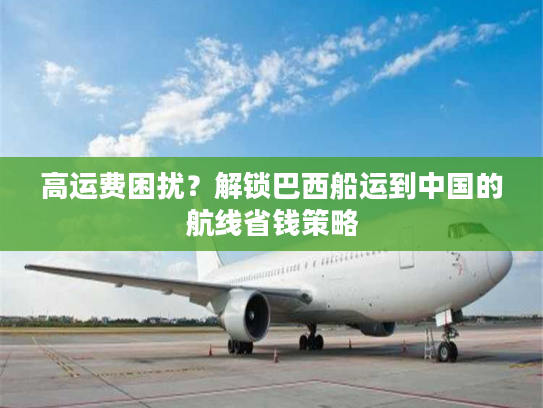 高运费困扰？解锁巴西船运到中国的航线省钱策略