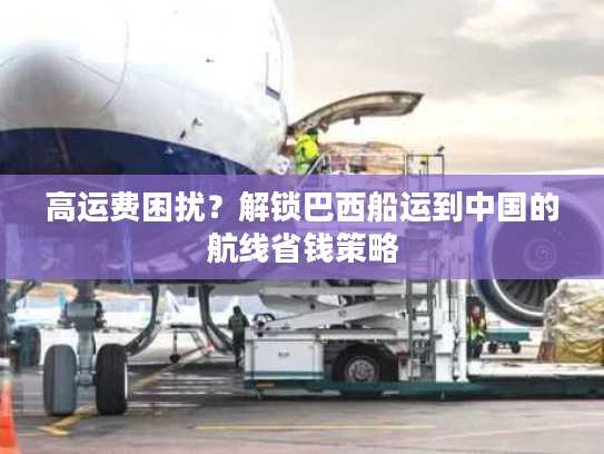 高运费困扰？解锁巴西船运到中国的航线省钱策略