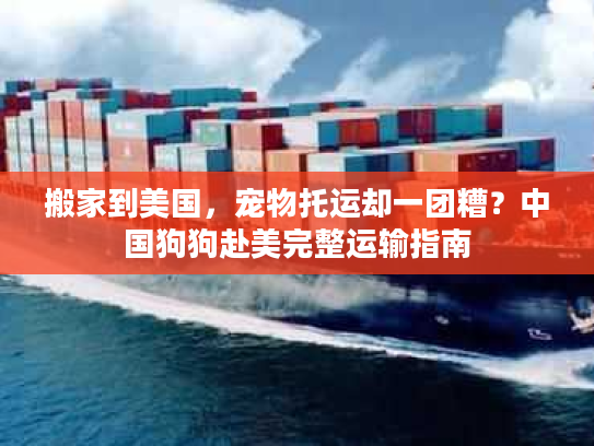 搬家到美国，宠物托运却一团糟？中国狗狗赴美完整运输指南