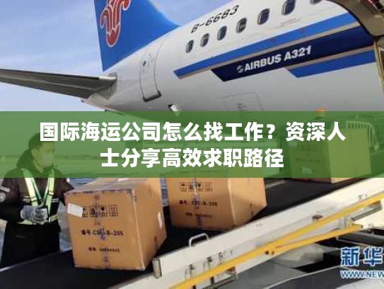 国际海运公司怎么找工作？资深人士分享高效求职路径