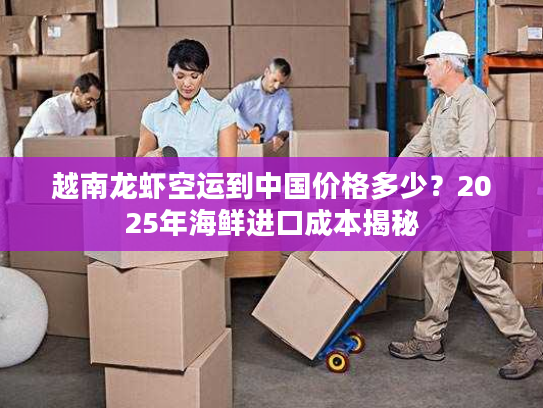 越南龙虾空运到中国价格多少？2025年海鲜进口成本揭秘