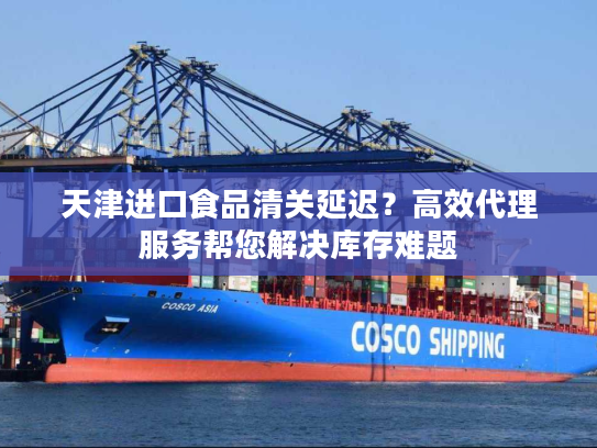 天津进口食品清关延迟？高效代理服务帮您解决库存难题