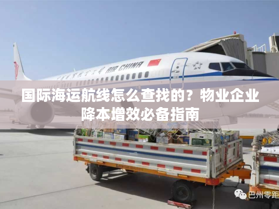 国际海运航线怎么查找的？物业企业降本增效必备指南