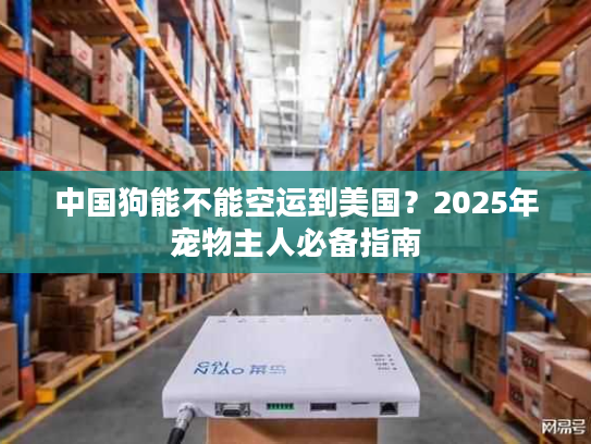 中国狗能不能空运到美国？2025年宠物主人必备指南