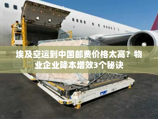 埃及空运到中国邮费价格太高？物业企业降本增效3个秘诀