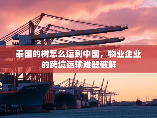 泰国的树怎么运到中国,物业企业的跨境运输难题破解 泰国的树怎么运到中国,物业企业的跨境运输难题破解