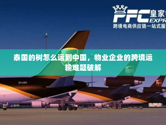 泰国的树怎么运到中国，物业企业的跨境运输难题破解