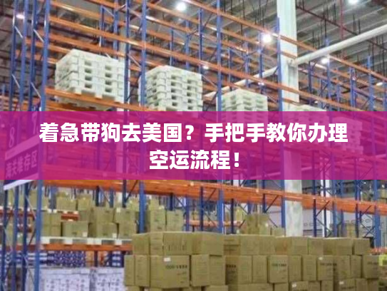 着急带狗去美国?手把手教你办理空运流程! 着急带狗去美国?手把手教你办理空运流程!