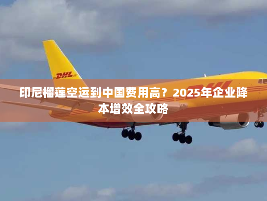 印尼榴莲空运到中国费用高？2025年企业降本增效全攻略