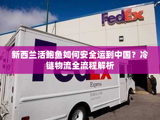 新西兰活鲍鱼如何安全运到中国？冷链物流全流程解析