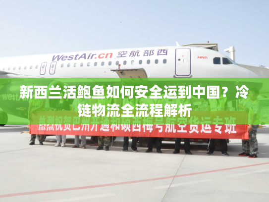 新西兰活鲍鱼如何安全运到中国？冷链物流全流程解析