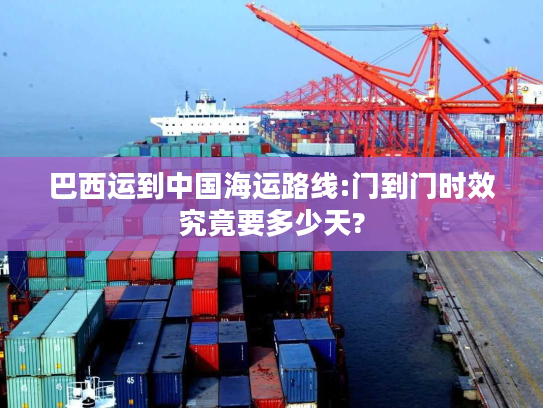 巴西运到中国海运路线:门到门时效究竟要多少天?